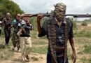 LND Urges FG to Address Allegations of French Funding for Boko Haram