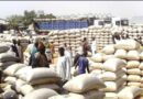 Kano Govt. Vows To Punish Foodstuff Adulteration At Dawanau Grains Market