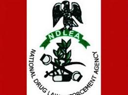 NDLEA leads Gombe stakeholders in a walk against drug abuse
