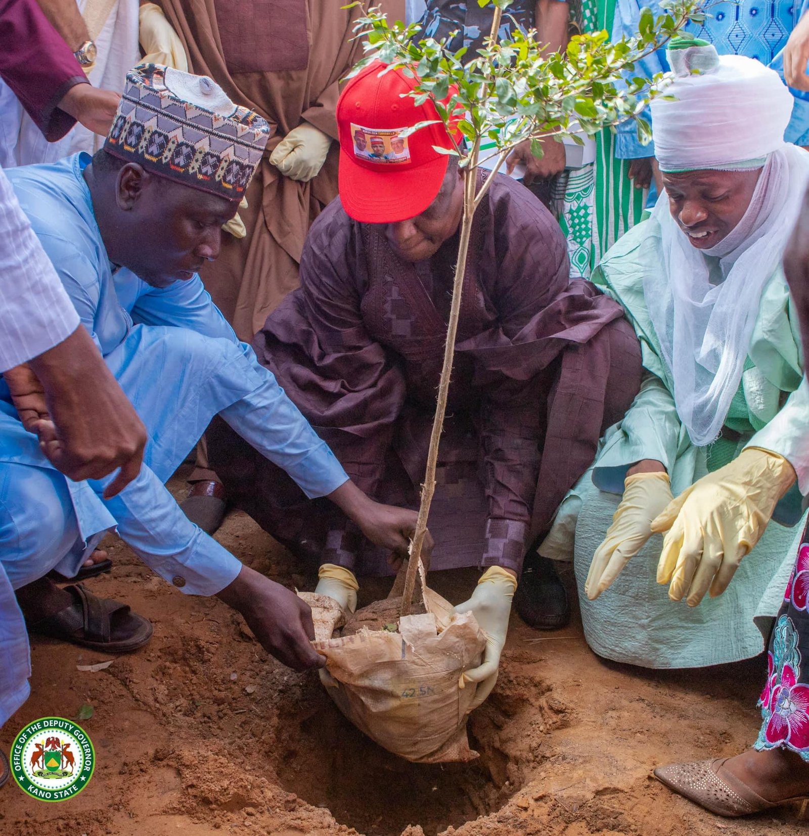 Kano's Tree Kano Deputy Governor Directs All Interim Management Committee to Plant ...