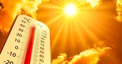 2024’ll be world’s hottest year on record – EU scientists