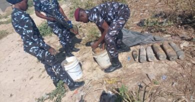 Police recover 8 unexploded devices in Borno