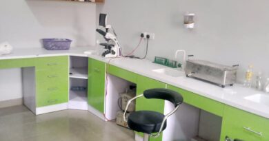 Rabies: Kano Veterinary Lab In-charge Advises Keepers To Vaccinate Their Dogs