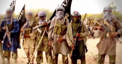 Bandits Attack Fulani Settlement in Kaduna, Kidnap Several Residents