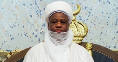 No development without security — Sultan tells FG