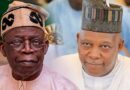 APC Northwest group drums support for Shettima, caution agitators