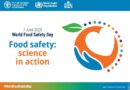 World Food Safety Day:Take Junk Off Our Plates, CAPPA Tasks FG, States