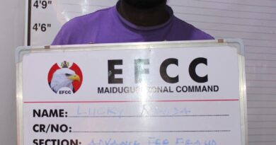 Maiduguri Court Jails Two for Internet Fraud