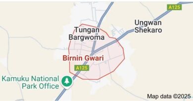 Birnin Gwari Sees Improvements in Peace, Development