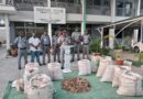 Kano/Jigawa Customs Command Arrests 420kg Pangolin Scales, Vows To Protect Wildlife Species