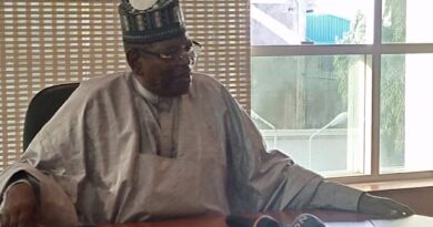 2027:I Am Willing To Work For Any Arrangement To Secure Nigeria – Sule Lamido