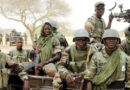 Troops kill 10 terrorists near Nigeria, Cameroon border
