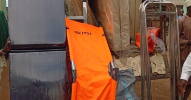 Adamawa Senator donates medical equipment to border communities