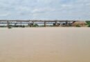 How Wudil town is protecting its river from drying up
