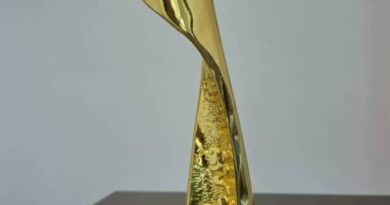 Dangote Bags ‘Cement Company of the Year’ Award At Africa Housing Show