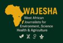 Journalists must bridge health, climate stories to inspire action – Experts 