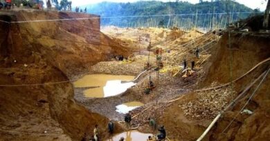 Deadly Gold Rush: Bandits and the Mining Fields of Northwest Nigeria