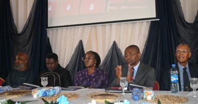 Experts Decry Brain Drain in Nigeria’s Health Sector