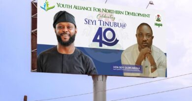 Seyi Tinubu represents Nigerian youth well, both home, abroad – Northern group