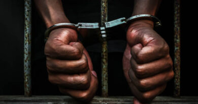 Man Arrested for Molesting Daughters in Enugu