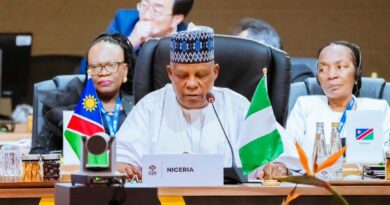 President Tinubu calls for equity in resource allocation, trade for Africa at G20 Summit