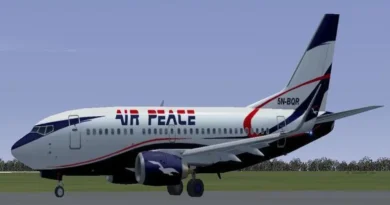 Ground handling incident disrupts Air Peace flight operations at MMIA