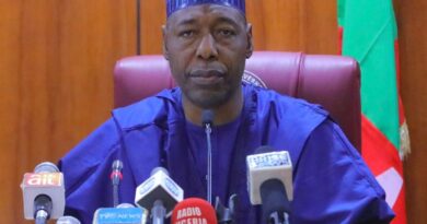 Zulum’s Christmas Message: ‘Protect Our Sacred Bond’