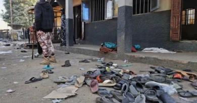 Gamboru Market Explosion Caused by Suicide Bomber — Army