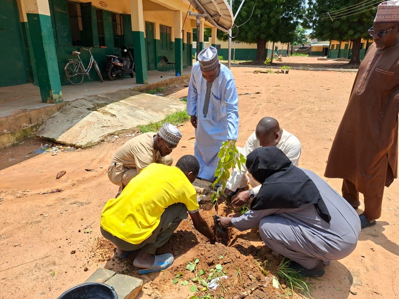 CITAD Launches Tree Planting Campaign In Kano Schools To Combat Desertification